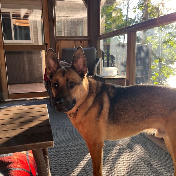 Meet your Posher, Keye - Picture 1 of 1